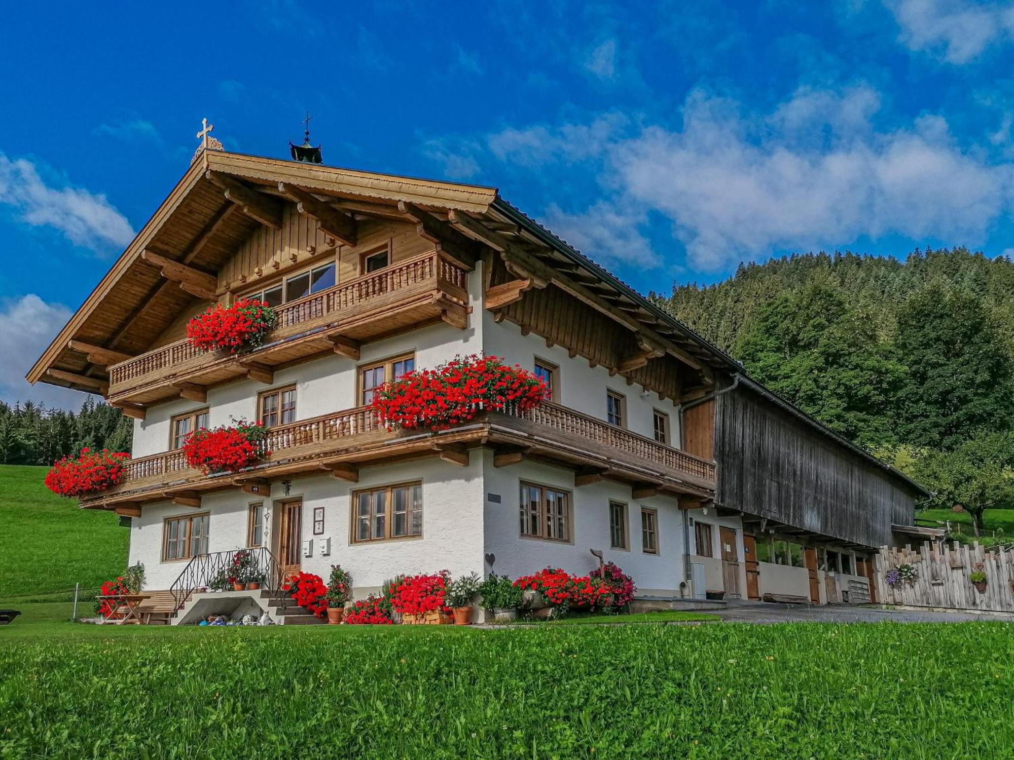 Appartamento Flicklhof Xl Hopfgarten im Brixental Esterno foto